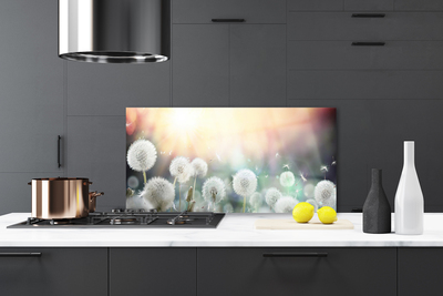 Szkło Dekoracyjne do Kuchni Lekkość Polnych Dmuchawców