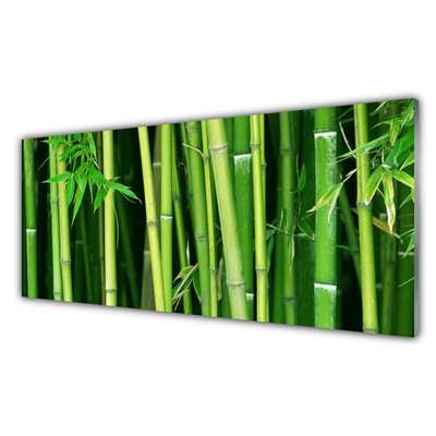 Panel Szklany Las Bambusowy Bambus Natura