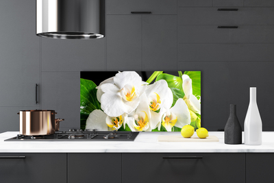 Panel Szklany Królewska Orchidea w Rozkwicie