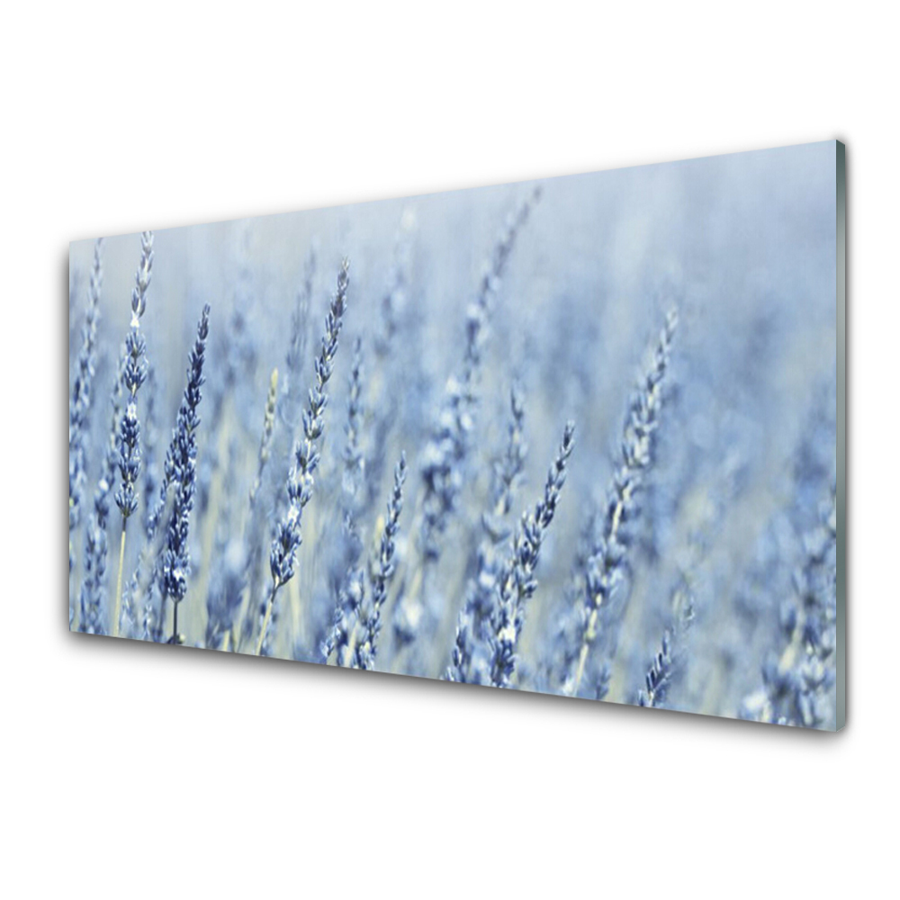 Panel Szklany Kwiaty Kłosy Łąka Natura