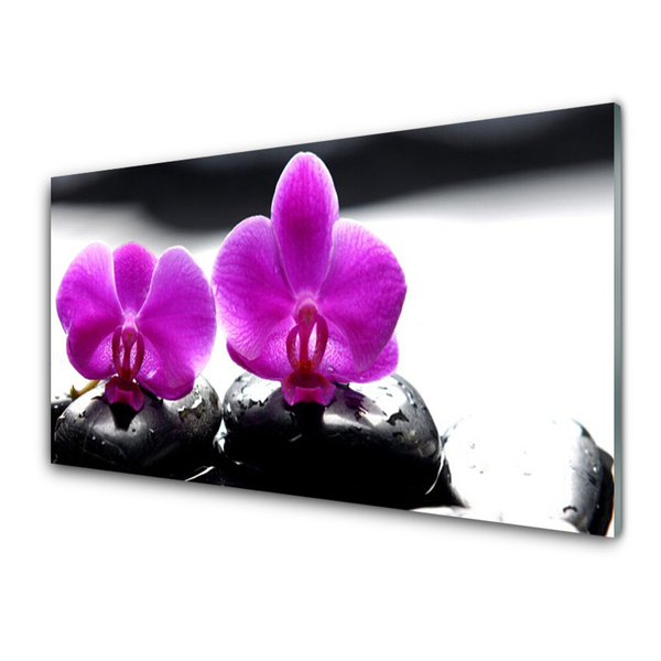 Panel Szklany Kwiaty Orchidea Natura