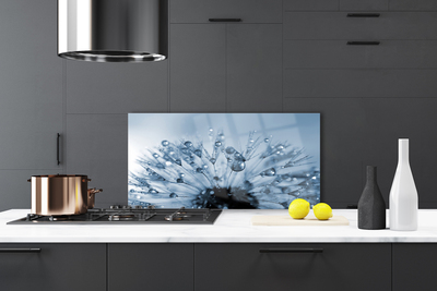 Panel Szklany do Kuchni Dmuchawiec w Porannej Rosie