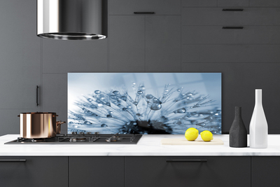 Panel Szklany do Kuchni Dmuchawiec w Porannej Rosie