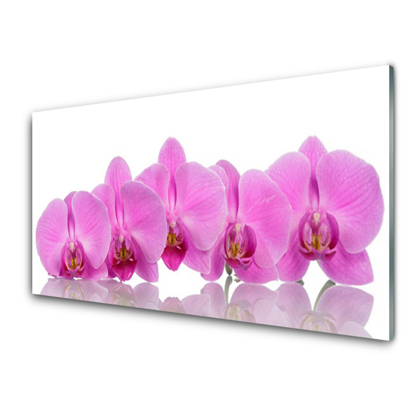 Panel Szklany Różowa Orchidea Kwiaty