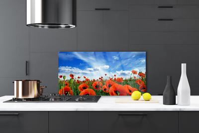 Panel Szklany Czerwone Maki w Blasku Słońca