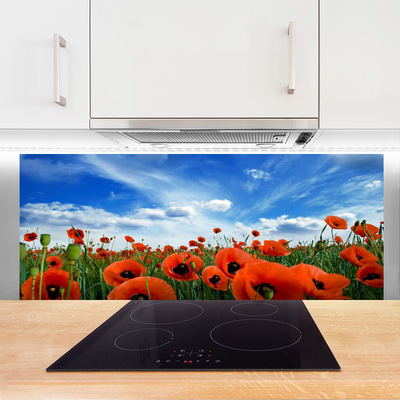 Panel Szklany Czerwone Maki w Blasku Słońca