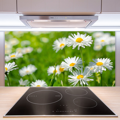 Panel Szklany Skromność Polnej Stokrotki