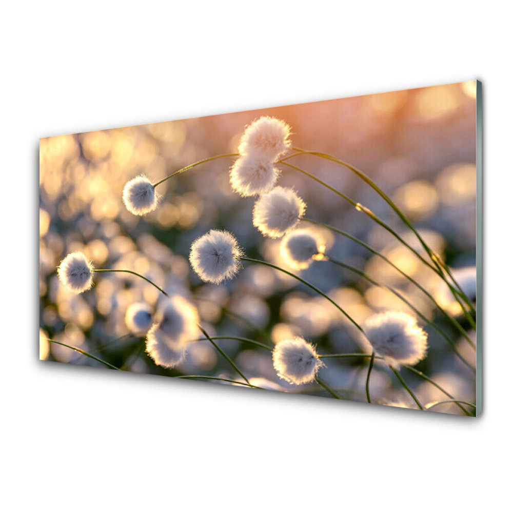 Panel Szklany Kwiaty Roślina Natura