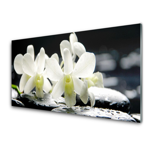 Panel Szklany Kamienie Kwiaty Orchidea
