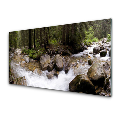 Panel Szklany Las Rzeka Wodospady
