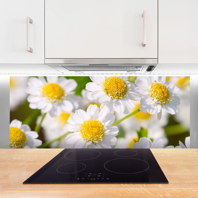 Panel nad blat kuchenny Stokrotki w Promieniach Słońca