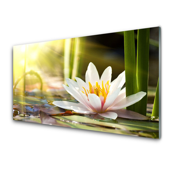 Panel nad blat kuchenny Pływająca Lilia Wodna