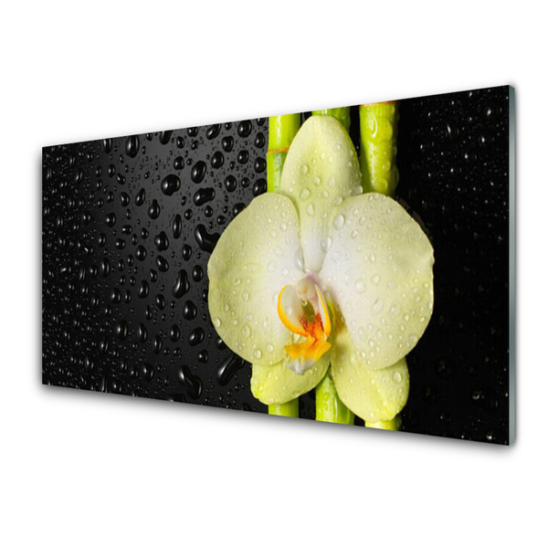 Panel Szklany Bambus Kwiaty Orchidea