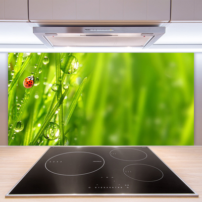 Szkło Dekoracyjne do Kuchni Biedronka na Zielonym Źdźble