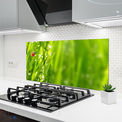 Szkło Dekoracyjne do Kuchni Biedronka na Zielonym Źdźble