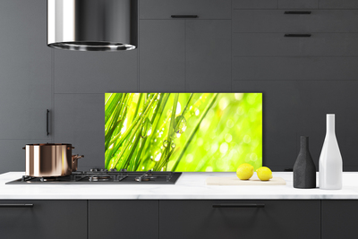 Panel Szklany Świeżość Porannej Rosy