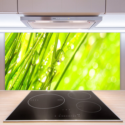 Panel Szklany Świeżość Porannej Rosy