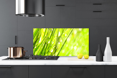 Panel Szklany Świeżość Porannej Rosy