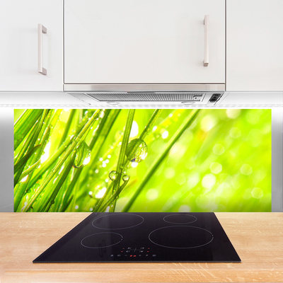 Panel Szklany Świeżość Porannej Rosy