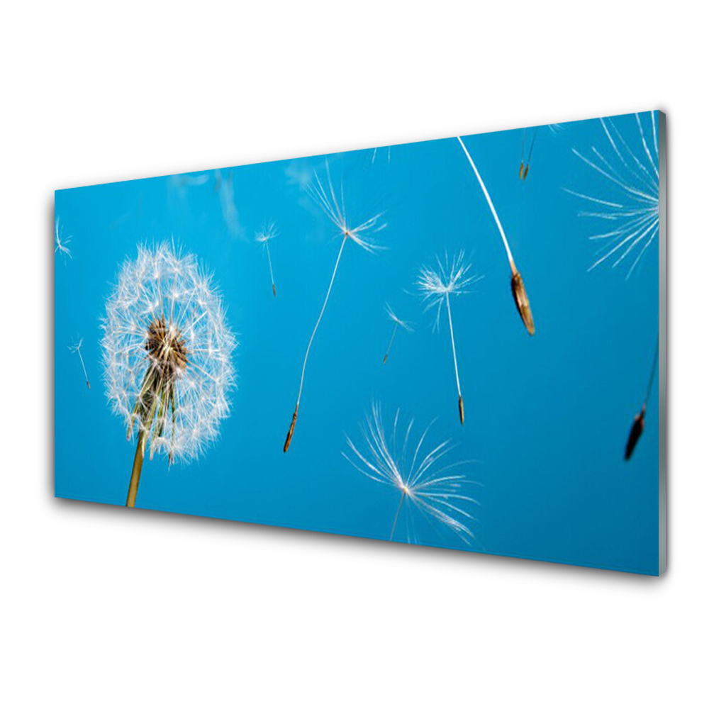Panel Szklany Dmuchawce Kwiaty Natura