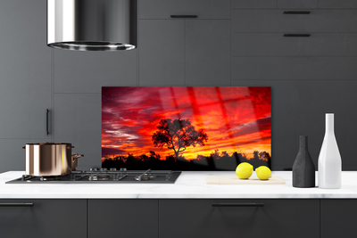 Szkło do Kuchni na Ścianę Głusza Leśnej Natury