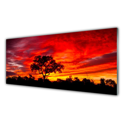 Szkło do Kuchni na Ścianę Głusza Leśnej Natury