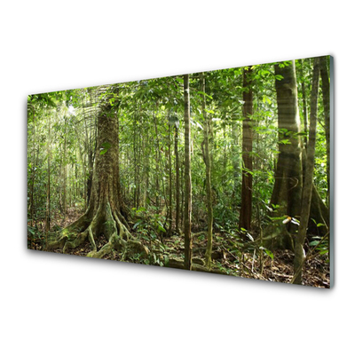 Panel Szklany Las Natura Dżungla Drzewa