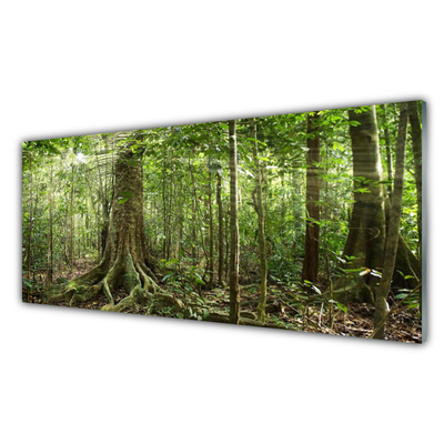 Panel Szklany Las Natura Dżungla Drzewa