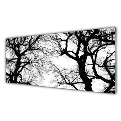 Panel Szklany Drzewa Natura Czarno-Biały