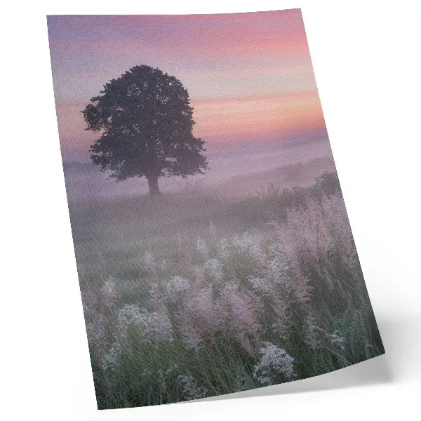 Plakat ścienny samotne drzewo w mgle w pastelowych kolorach nieba