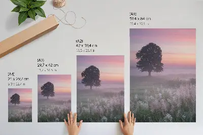 Plakat ścienny samotne drzewo w mgle w pastelowych kolorach nieba
