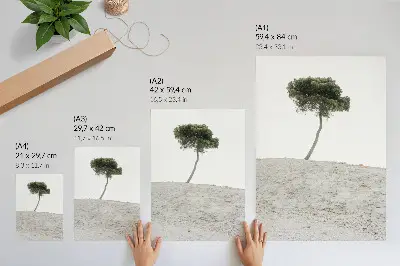 Plakat na płótnie z motywem samotnego drzewa w stylu minimalistycznym