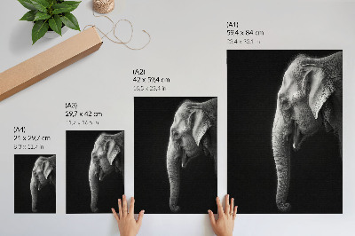 Plakat z teksturą płótna Monochromatyczny portret słonia w profilu