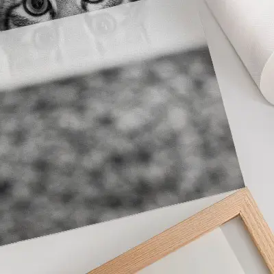 Plakat na płótnie kot w stylu minimalistycznym czarno-biały