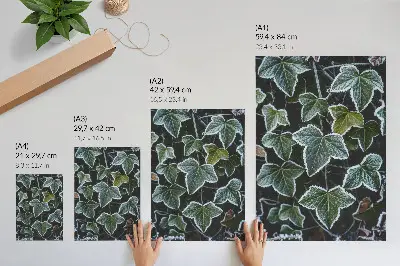 Nowoczesna grafika na płótnie przedstawiająca zielone liście z białym mrozem na brzegach