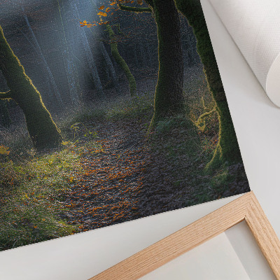 Plakat na płótnie Magiczny las jesienne światło spokojny klimat