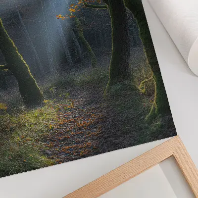 Plakat na płótnie z motywem magicznego lasu w jesiennym świetle o spokojnym klimacie