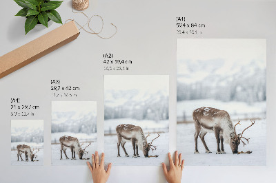 Plakat z teksturą płótna Renifer na śniegu natura spokój elegancja