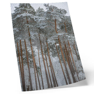 Plakat ścienny Leśna zima