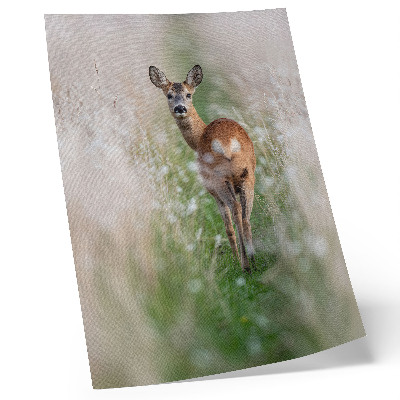 Plakat na płótnie Sarna natura