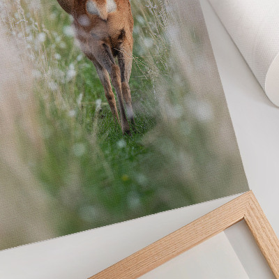 Plakat na płótnie Sarna w tle natury harmonia i spokój natura