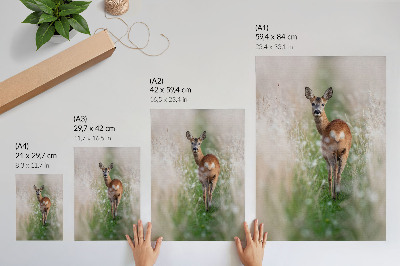 Plakat na płótnie Sarna natura