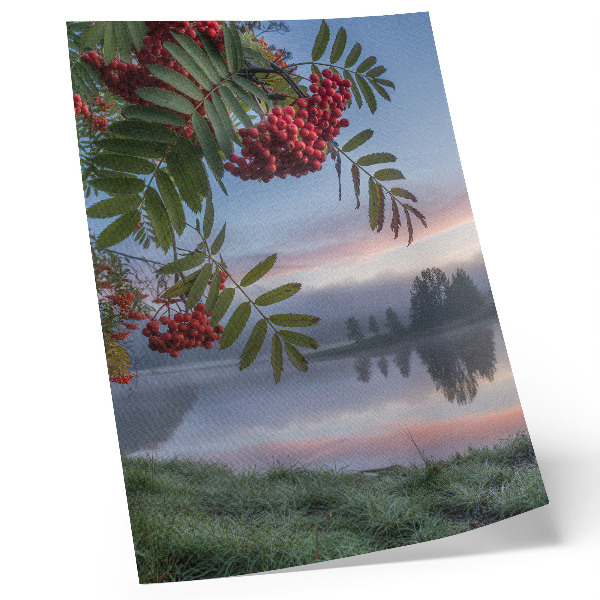 Plakat ścienny Jezioro o poranku jarzębina delikatna mgła natura