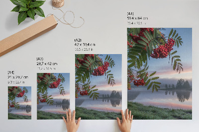 Plakat ścienny Natura o poranku
