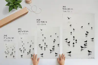 Plakat na płótnie ptaki nad wodą z subtelnymi odbiciami w stylu minimalistycznym
