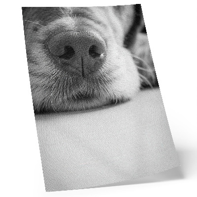 Nowoczesna grafika na płótnie Psi pyszczek