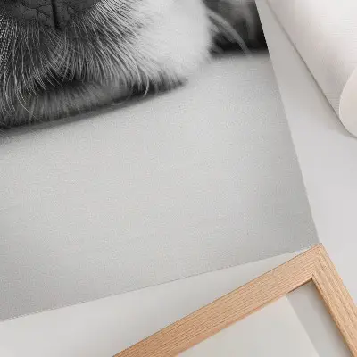 Nowoczesna grafika na płótnie zbliżenie na teksturę psa w stylu minimalistycznym czarno-białe