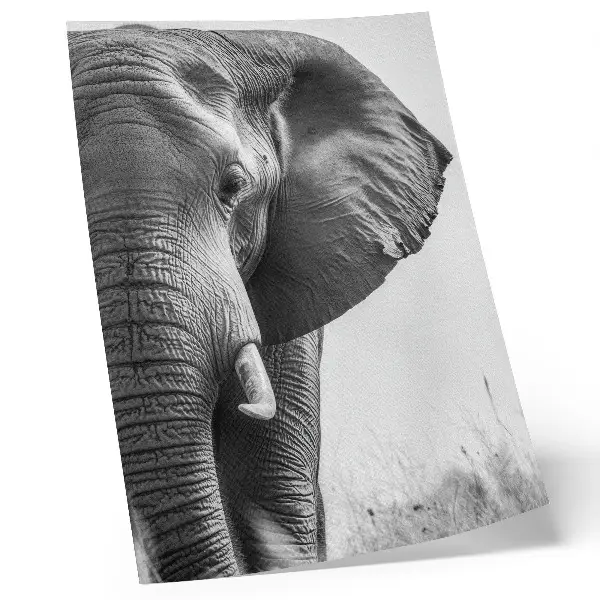 Plakat z teksturą płótna monochromatyczny klimat z motywem pomarszczonej skóry