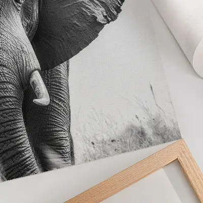 Plakat z teksturą płótna monochromatyczny klimat z motywem pomarszczonej skóry