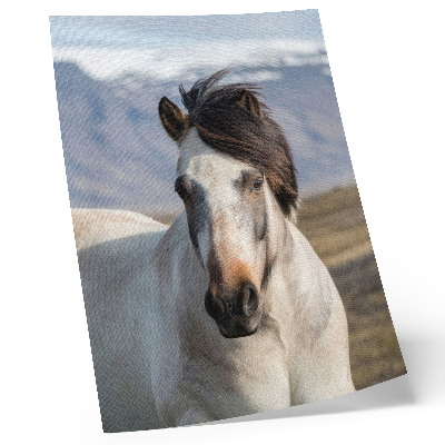 Plakat ścienny Naturalne piękno konia na tle gór spokojność prostota